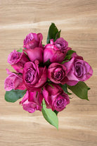 Purple Cezanne Rose