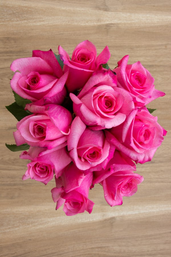 21 Pink Roses Bright Pink Roses Bouquet
