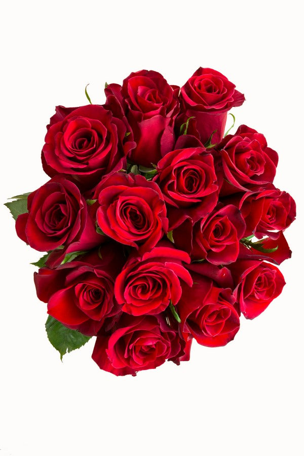 Freedom Red Rose - flowerexplosion.com