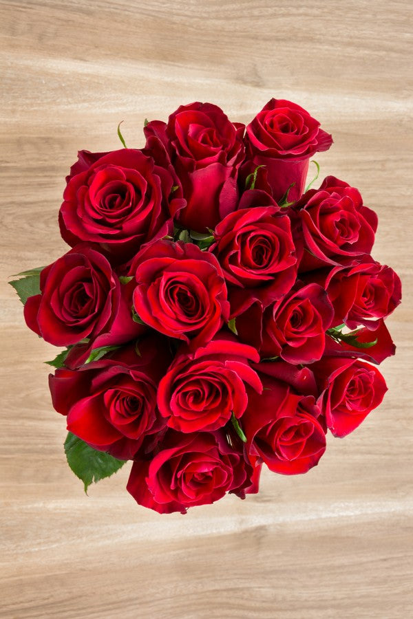 Freedom Red Rose - flowerexplosion.com