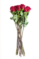 Hearts Red Rose