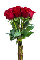 Hearts Red Rose