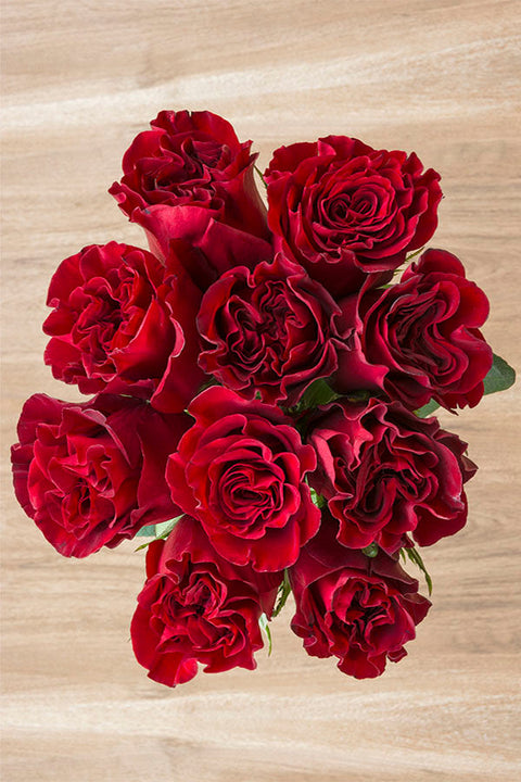 Dark red roses for sale - Deep red roses - Flower Explosion