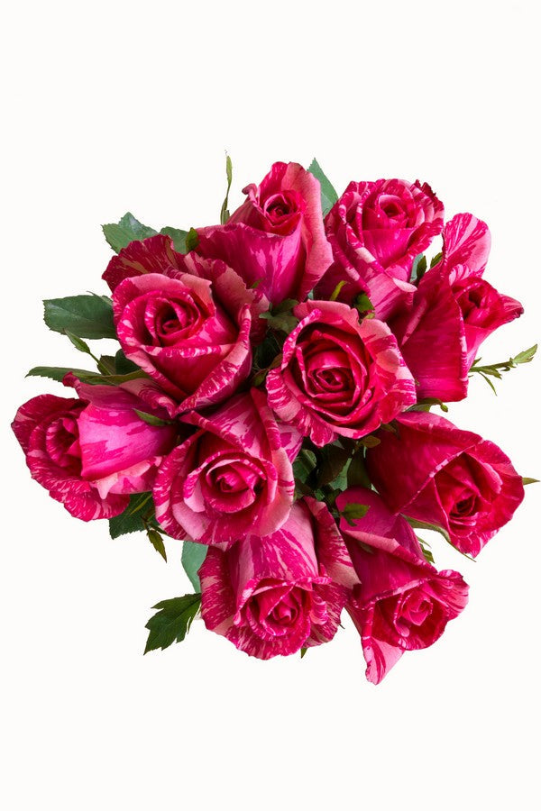 Pink Intuition - Exclusive Roses | Flower Explosion