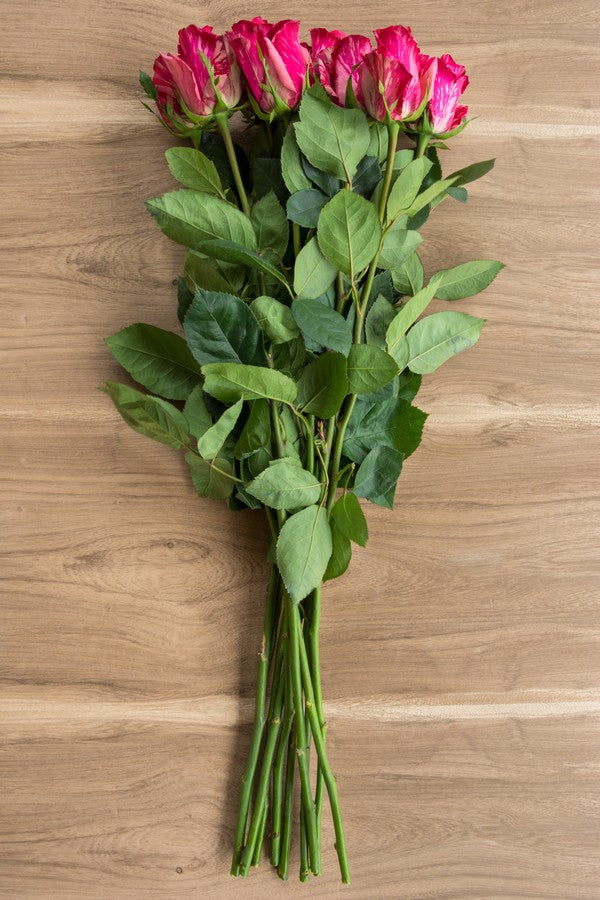 Pink Intuition - Exclusive Roses | Flower Explosion