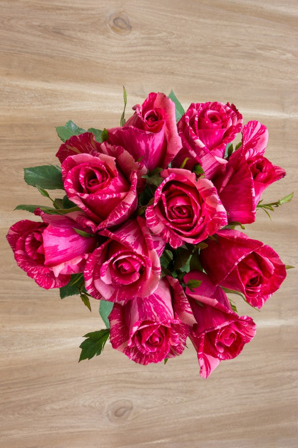 Pink Intuition - Exclusive Roses | Flower Explosion