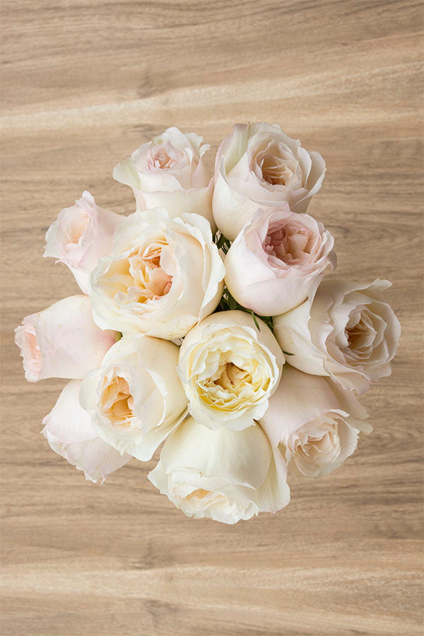 Natural Cream Roses Classic Woman Cream Garden Roses for Wedding Wholesale – Flower Explosion