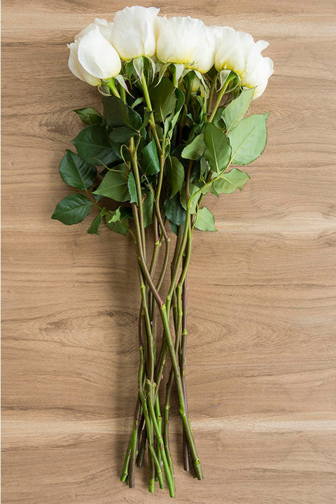 Cream roses - Buy cream roses - Flower Explosion