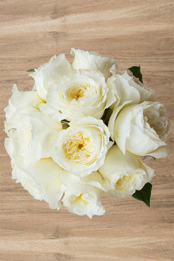 Cream roses - Buy cream roses - Flower Explosion