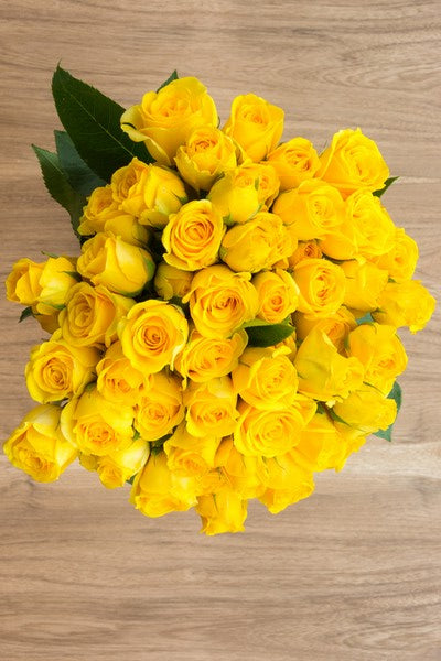 Yellow Impact Color Roses Yellow Spray Roses