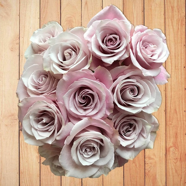 silvery-lavender-roses