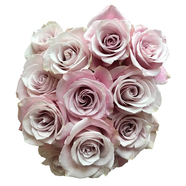 secret-garden-roses