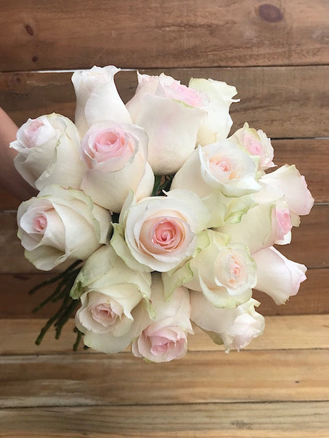 Blush roses for sale - Blush colored roses - Flower Explosion