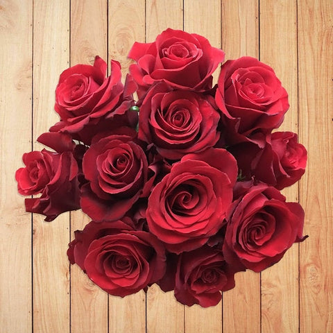 Sexy Red - Classic Roses Online | Flower Explosion