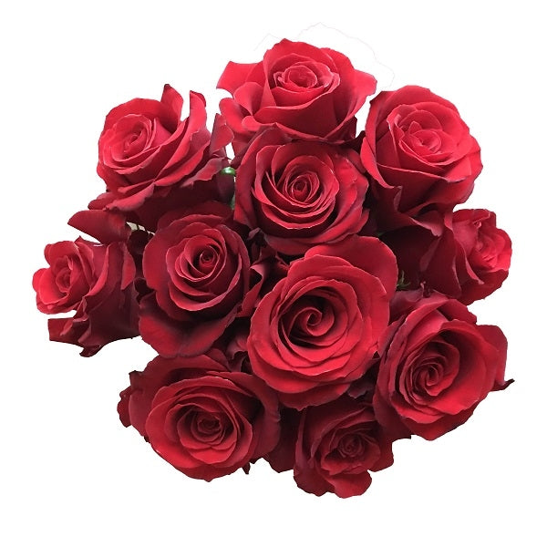 Sexy Red Roses