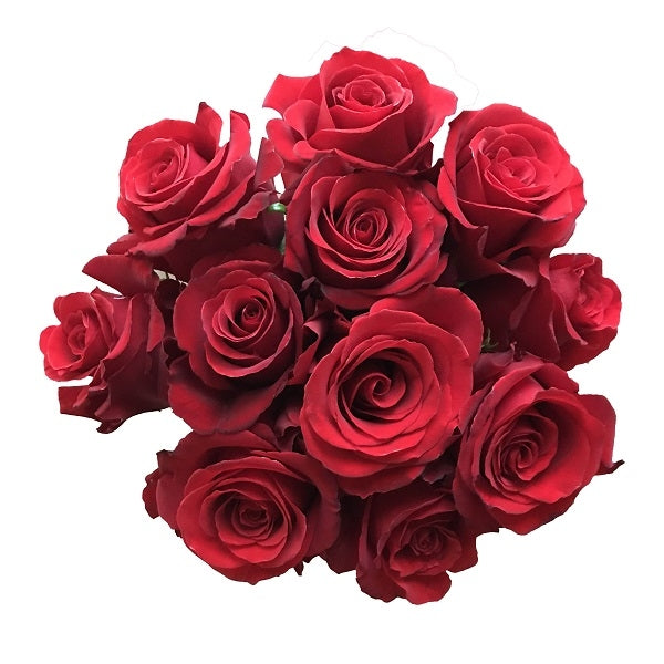 Red Roses Photo Shop Sexy Red - Classic Roses Online | Flower Explosion