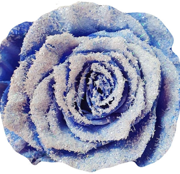 Frozen Blue Roses Blue Winter Rose