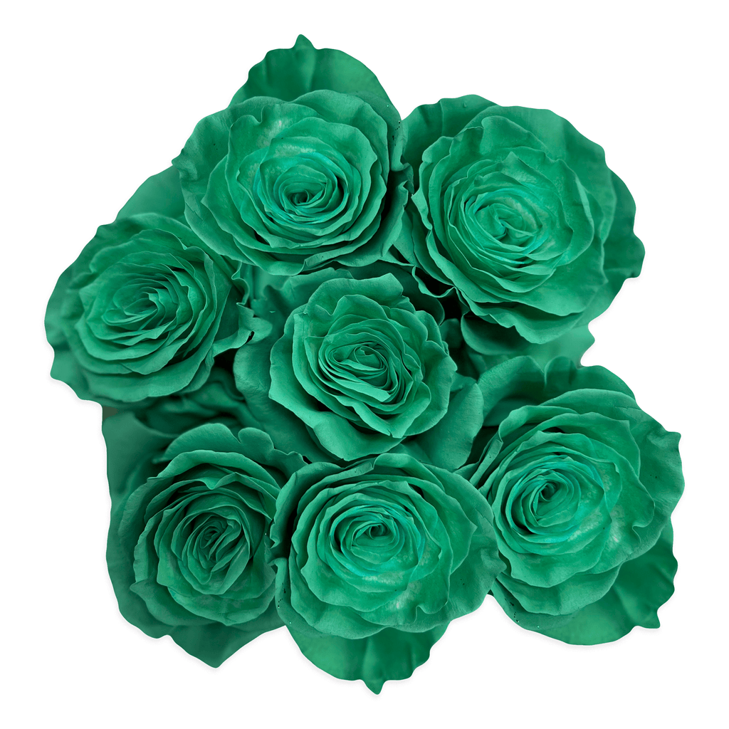 Green Roses Fresh Fresh Teal Green Roses - Farm Direct Delivery - Flower Explosion