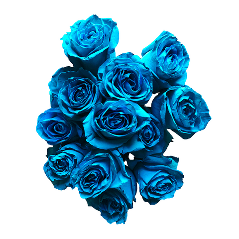 Turquoise Tinted Roses - Unique Flowers | Flower Explosion Online