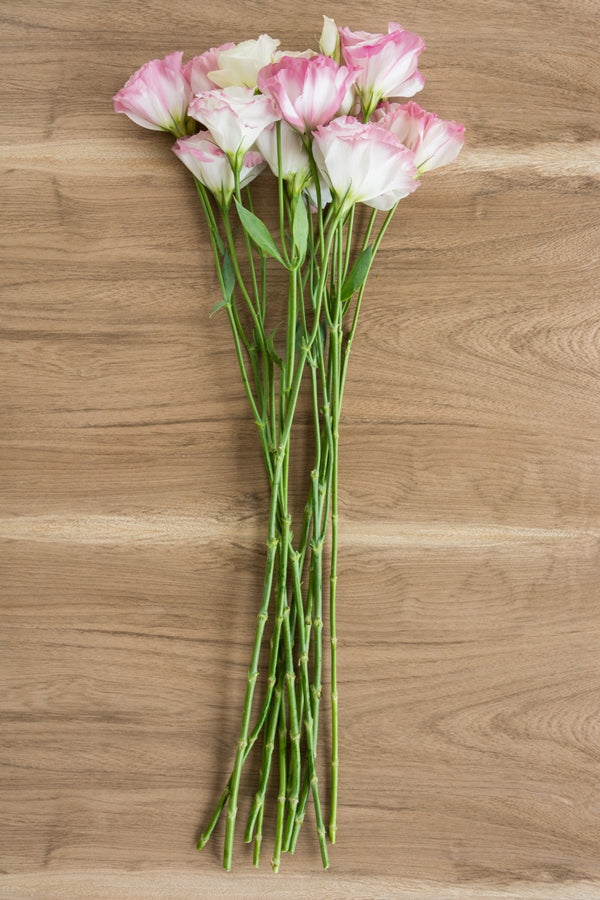 Lisianthus White and Pink