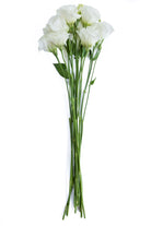Lisianthus White