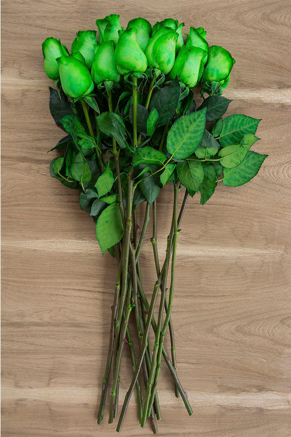 Green Tinted Rose