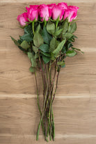 Hot Lady Pink Rose