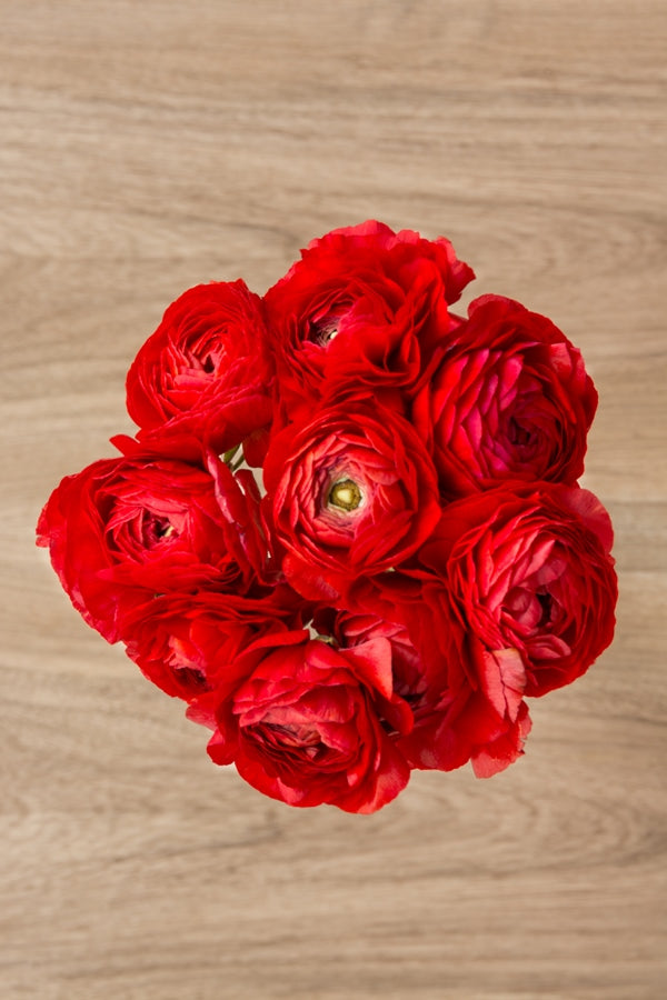 Red Ranunculus Bouquet