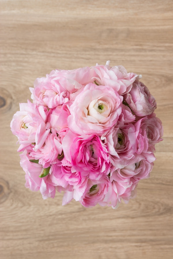 Light Pink Ranucnulus Ranunculus Light Pink – Flower Explosion