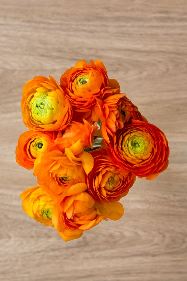Orange Ranunculus - Fresh Cut Blooms | Flower Explosion