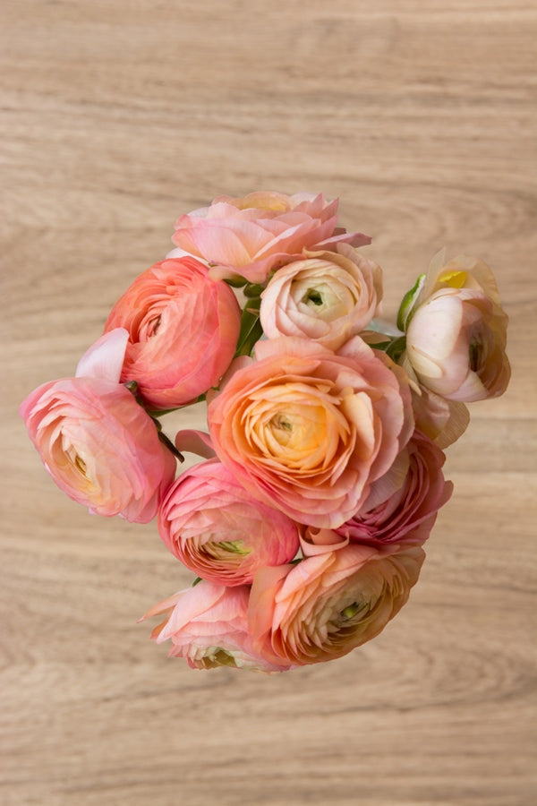 Peach Yellow Ranunculus Peach Ranunculus Bouquet