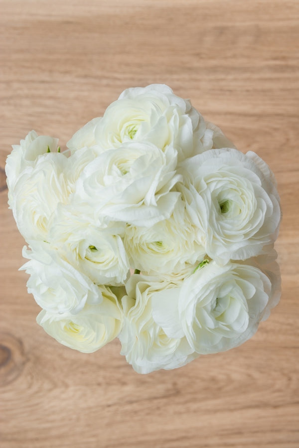White Ranaculas Roses White Ranunculus Flowers | Wholesale Wedding Flowers – Flower Explosion