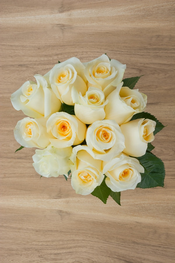 Creme Roses Wholesale Creme de la Creme Wedding Cream Roses Online @ Flower Explosion
