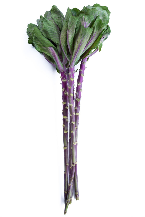 Cabbage Ornamental Purple