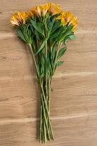 Yellow Alstroemeria