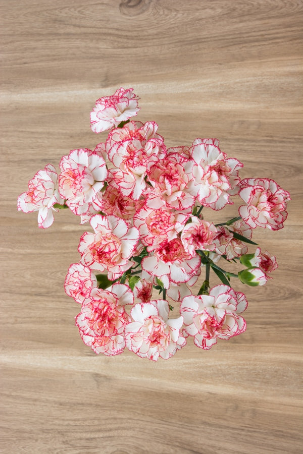 Mini Flower Bouquet With Roses And Carnation Stock Photo, Picture