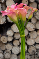 Pink Mini Calla