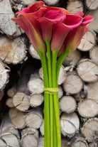 Red Mini Calla