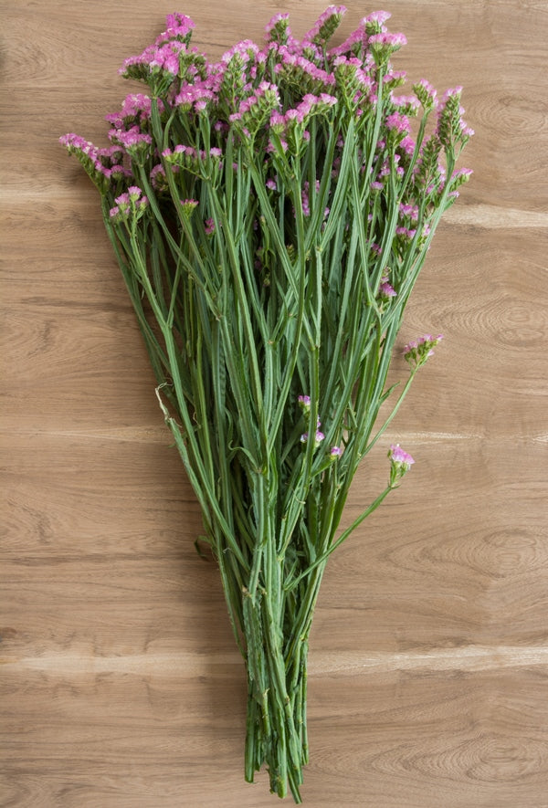 Hot Pink Statice Filler – Flower Explosion