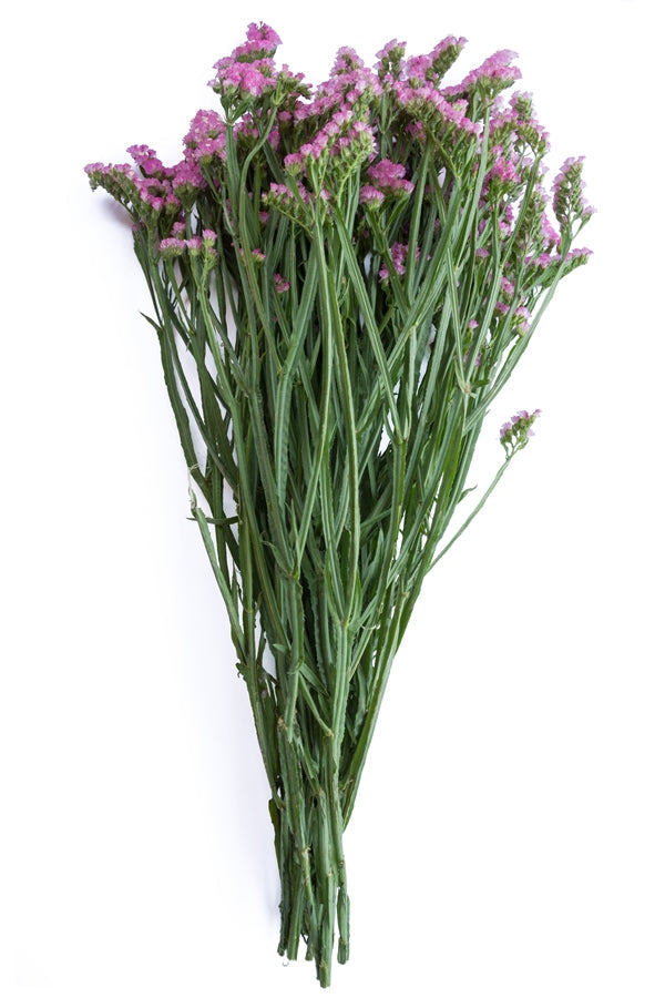 Hot Pink Statice Filler – Flower Explosion