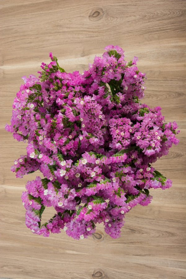 Hot Pink Statice Filler – Flower Explosion