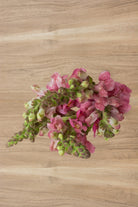 Pink Snapdragons