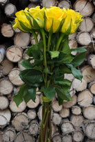 Brasil Yellow Rose