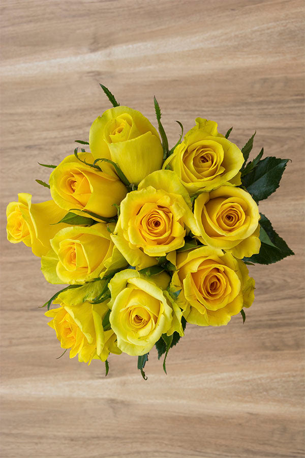 Brasil Yellow Rose