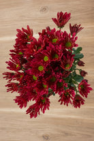 Red Daisy Poms