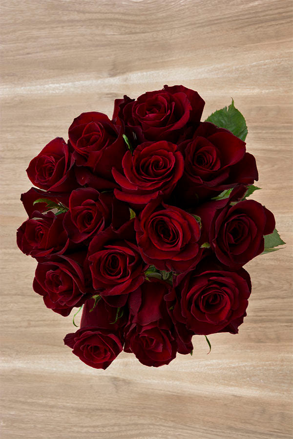 blood red roses flowers
