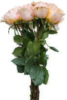 Peach Campanella Garden Rose