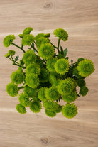 Green Button Poms