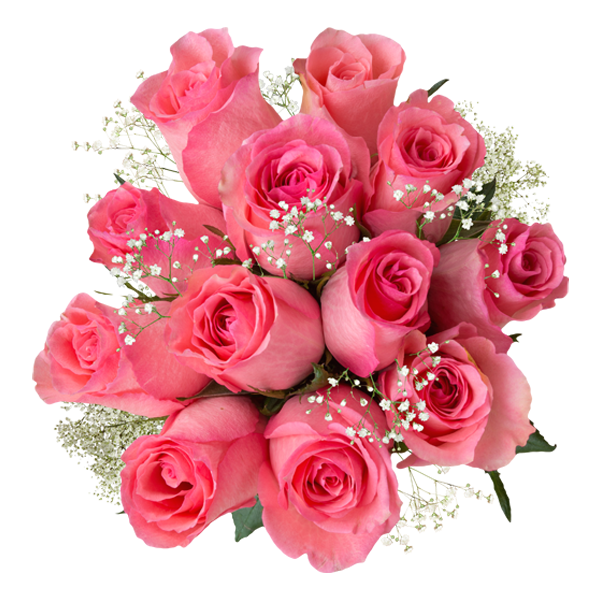 Pink Valus Roses Valentine's Day Light Pink Roses With Filler - Affordable Gift Roses ...
