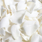 Rose Petals White